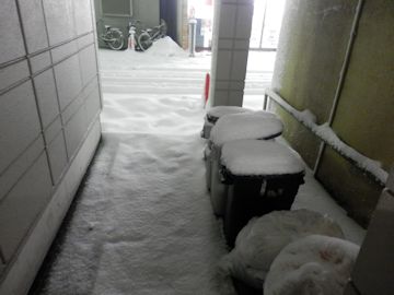 画像: 東京　大雪